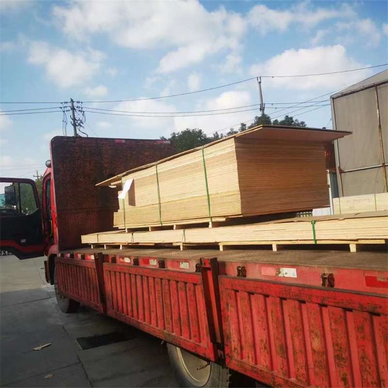 江西南昌青云谱至塔城货运专线，一站式物流服务助您成功